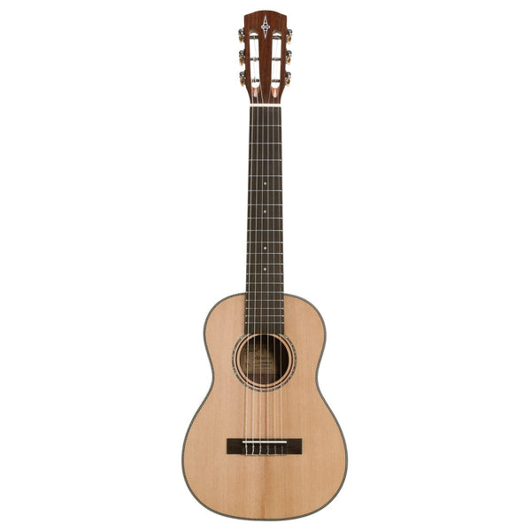 Guitares acoustiques