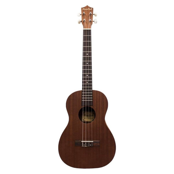 Guitares acoustiques