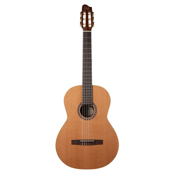 Guitares acoustiques