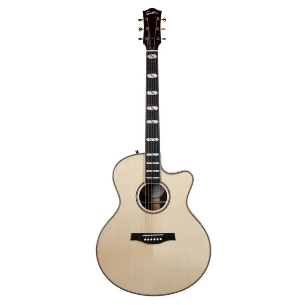 Other guitars