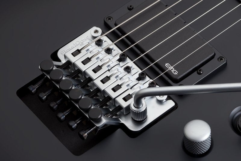 Schecter - Damien Platinum 6 Floyd Rose 6 String Electric Guitar - Satin Black #1183-SHC