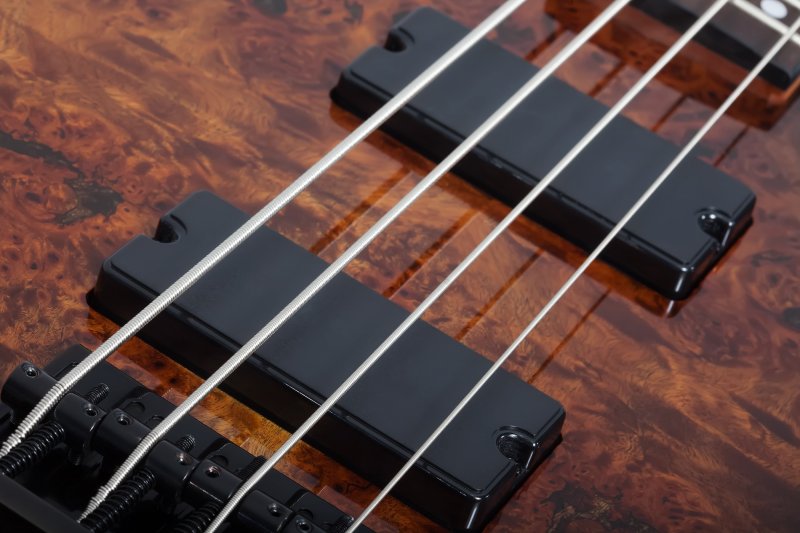 Schecter - C-4 Standard 4-String Electric Bass, Tobacco Burl #3970-SHC