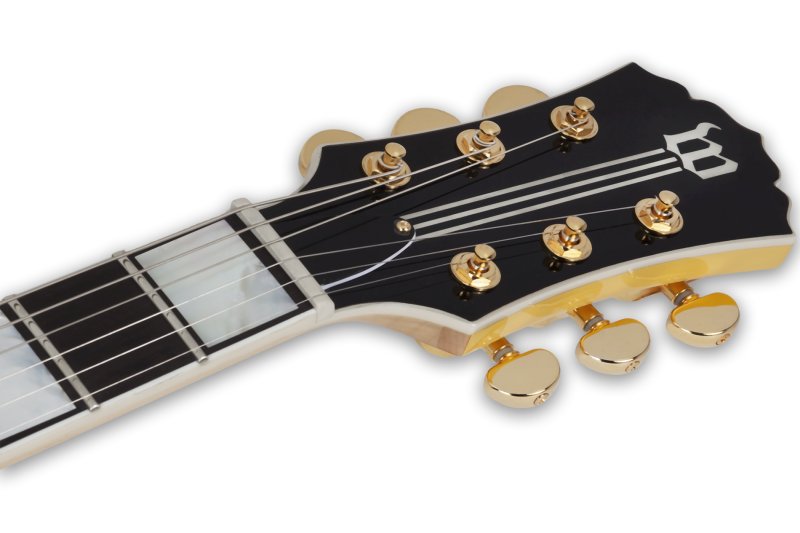 Schecter - Odin Grail Bullseye Electric Guitar, Genesis #4513-SHC