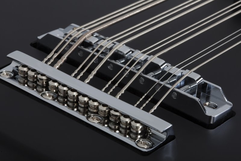 Schecter - dUg Pinnick DP-12 Electric Bass, Satin Black #459-SHC