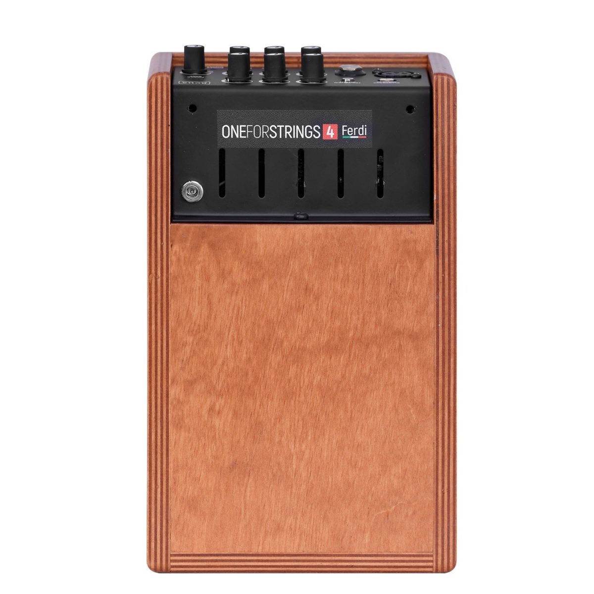 Acus - ONE FORSTRINGS 4 Ferdi 40W Acoustic Guitar Amplifier