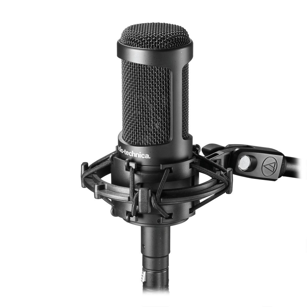 Audio-Technica AT2050 on shock mount