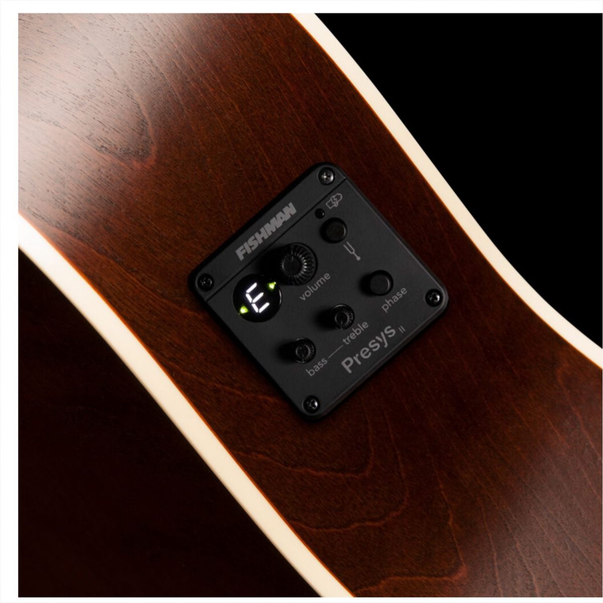 Art & Lutherie - Legacy Bourbon Burst CW Presys II-back