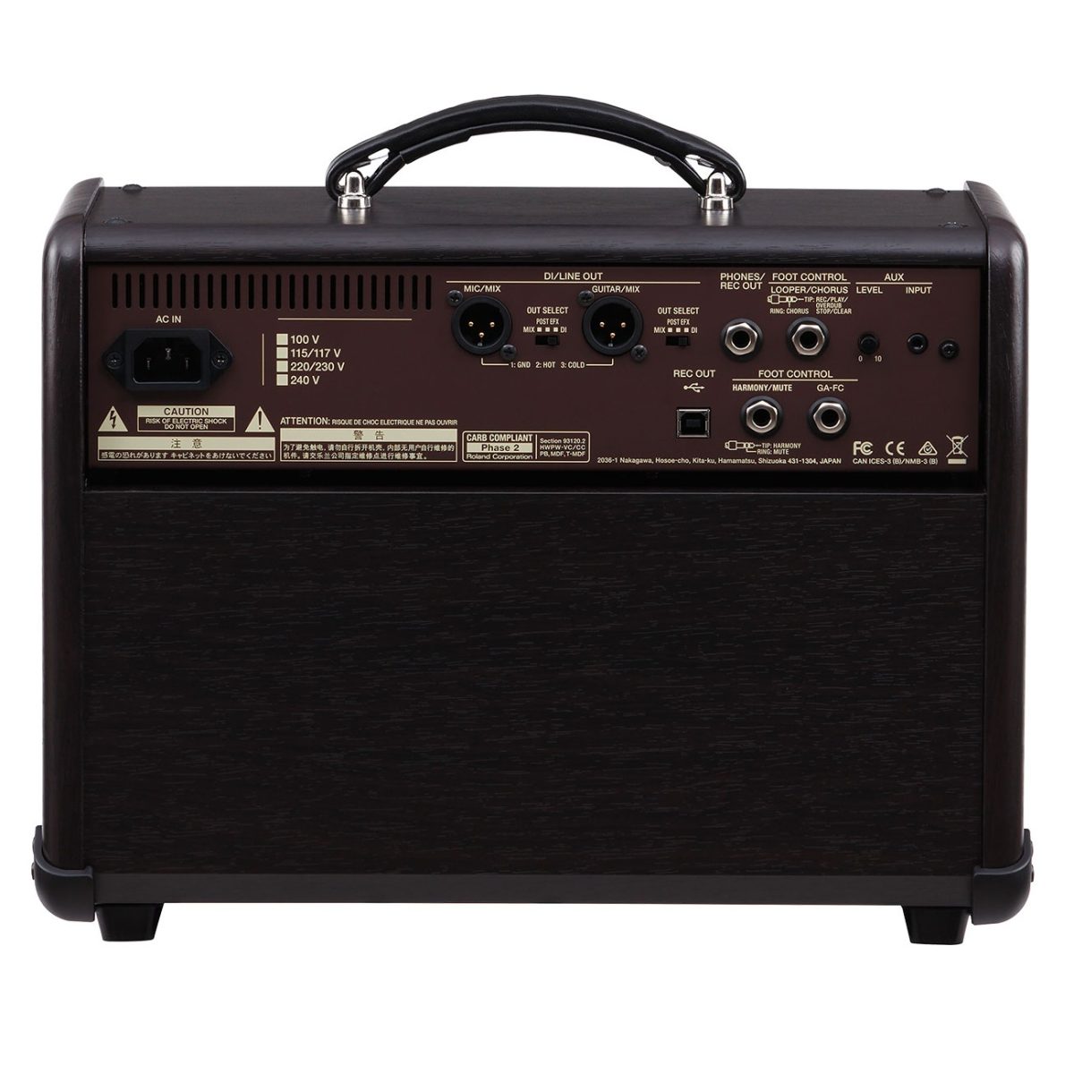 Boss - Acoustic Singer Live - Acoustic Amplifier