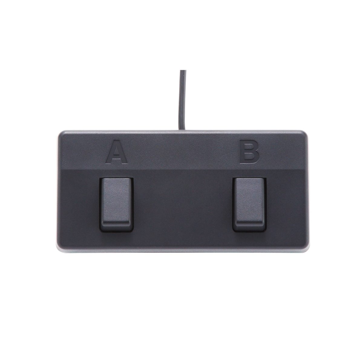 Boss - Acoustic Singer Live - Acoustic Amplifier