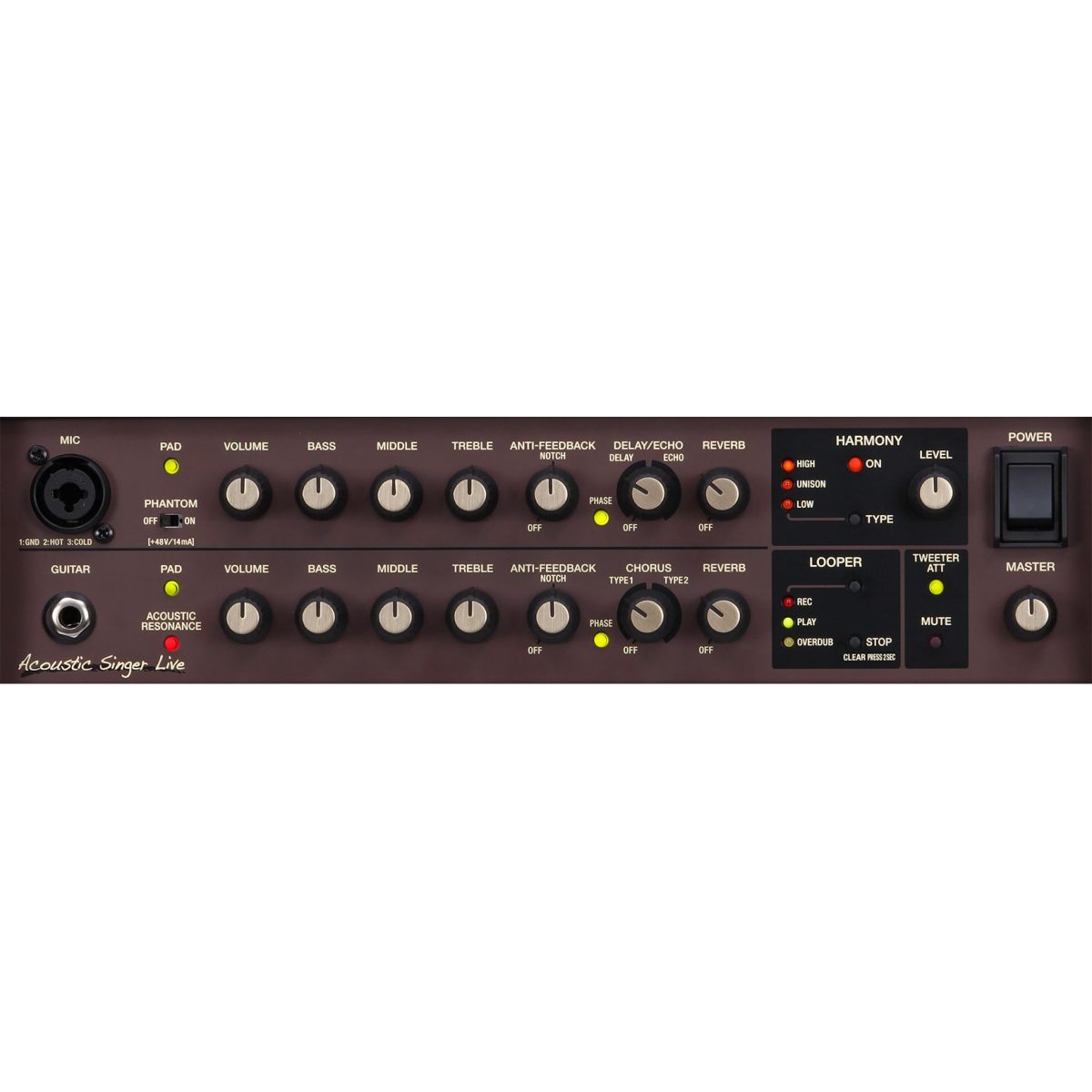Boss - Acoustic Singer Live - Acoustic Amplifier