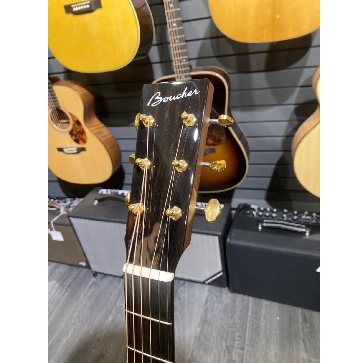 Boucher - CS-SG-252-PV - Custom Studio Goose Dreadnought Head