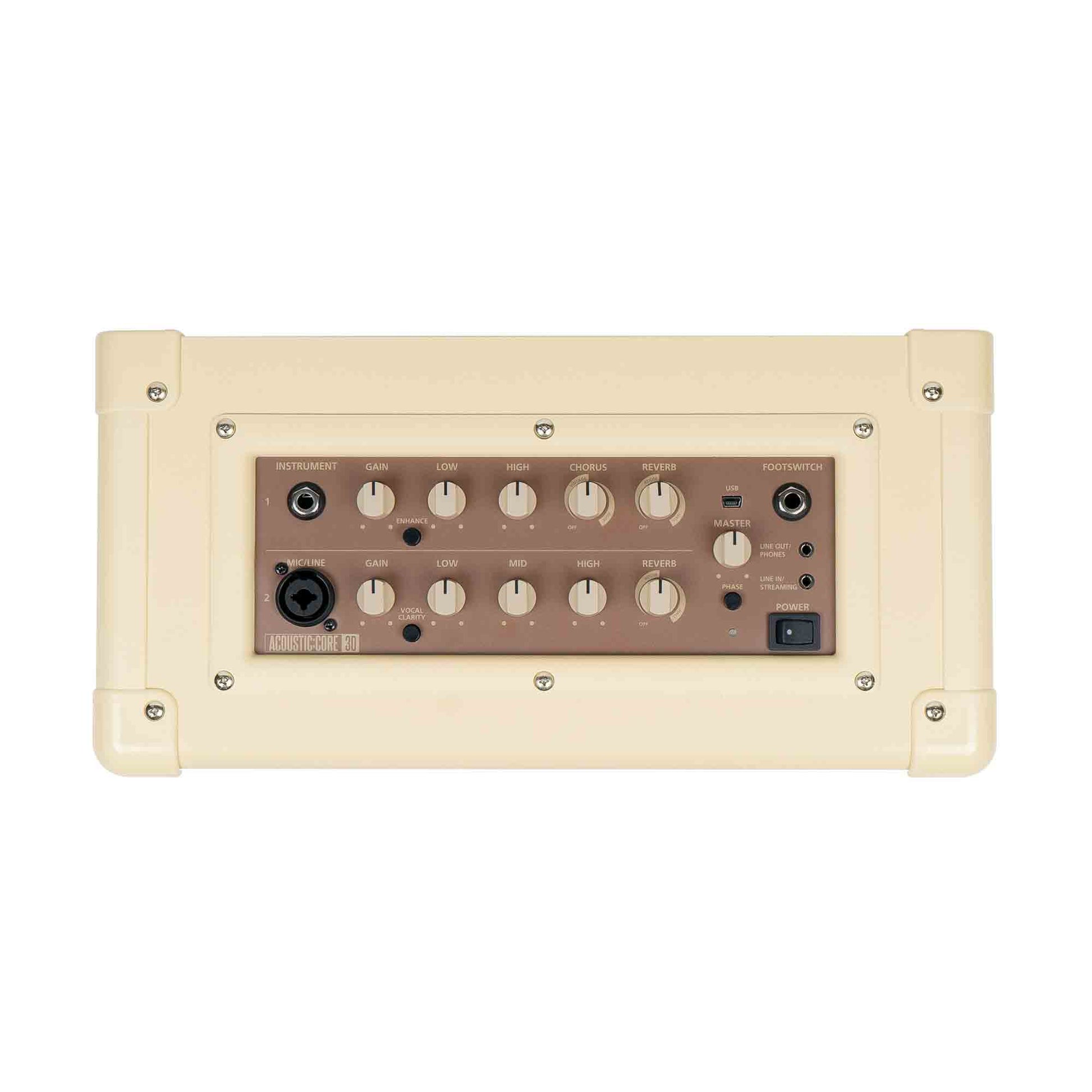 BlackStar Acoustic Core 30 top