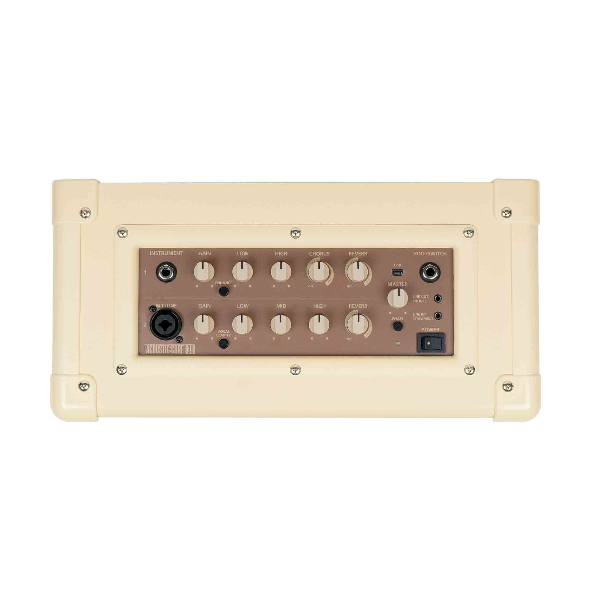 BlackStar Acoustic Core 30 top