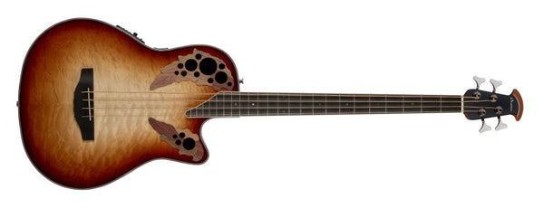 Bass Guitars
