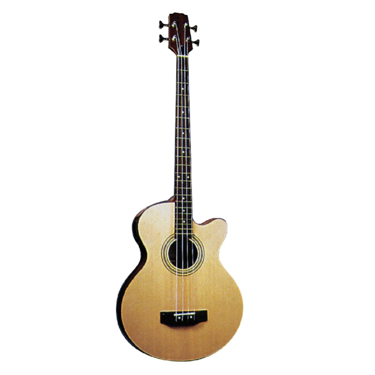 Jay Turser - JTB D100 - 4-String Acoustic Bass