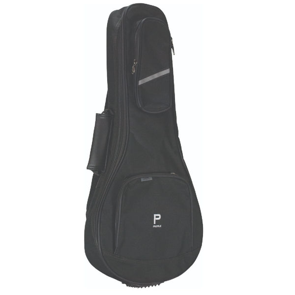 Guitares acoustiques