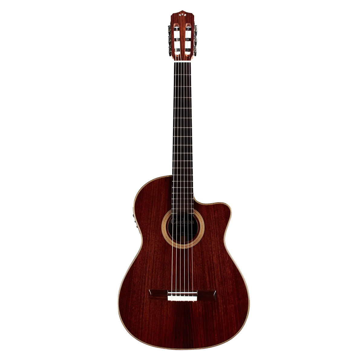 Cordoba - Fusion 12 Rose II