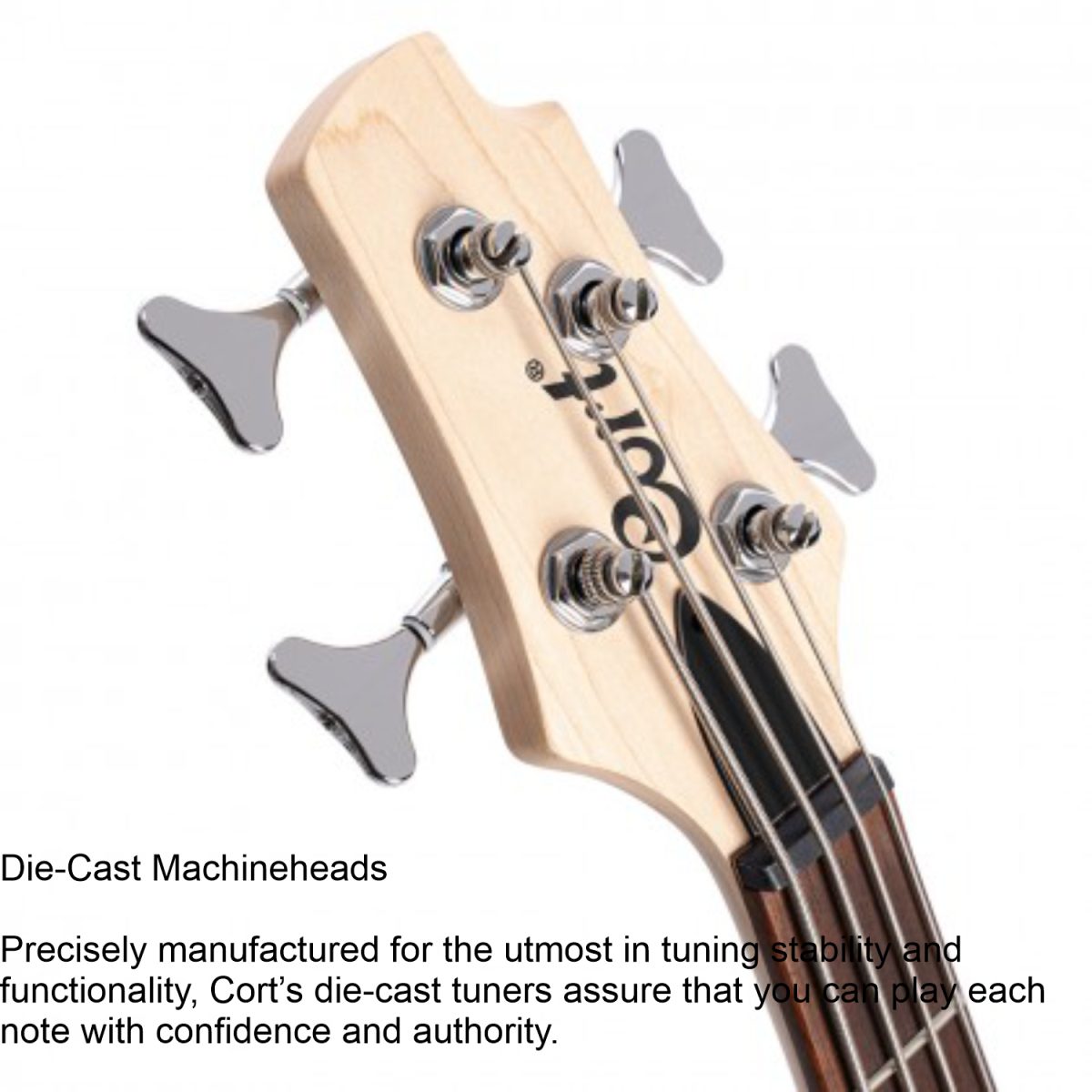 Cort - Action PJ Open Pore-head