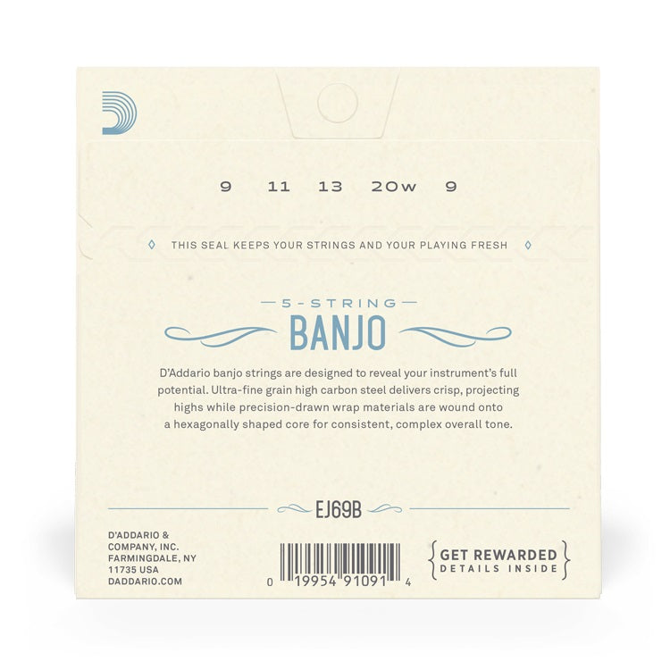 D'Addario - 5-String 09-20 Banjo Phosphor Bronze Ball End - Regular Light EJ69B