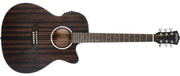 Washburn - Deep Forest Auditorium Acoustic / Electric Guitar, Striped Ebony #DFEACE