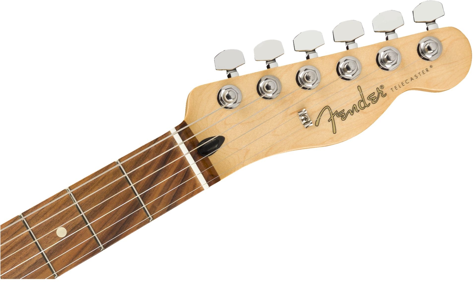 Fender Player Telecaster®, Pau Ferro Fingerboard, Polar White head
