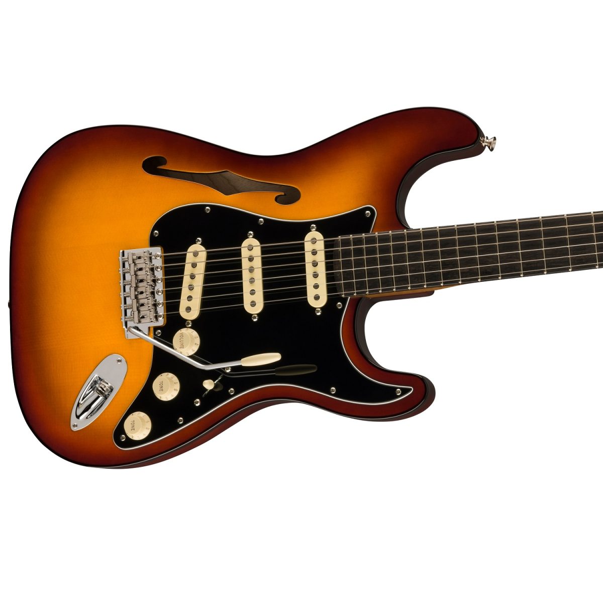 Fender - Limited Edition Suona Stratocaster Thinline - 0170271830 Body