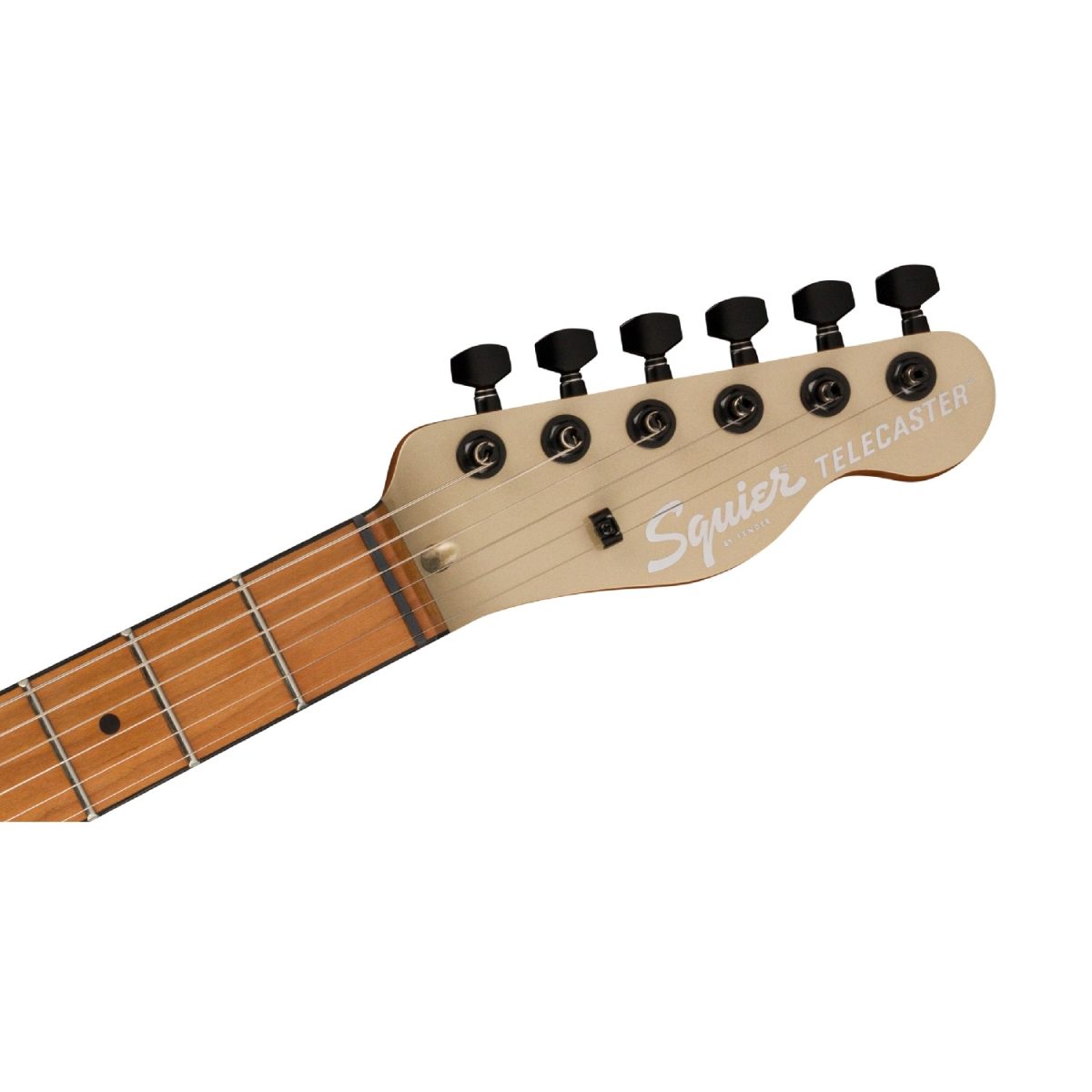 Squier - Contemporary Telecaster® RH - Shoreline Gold head