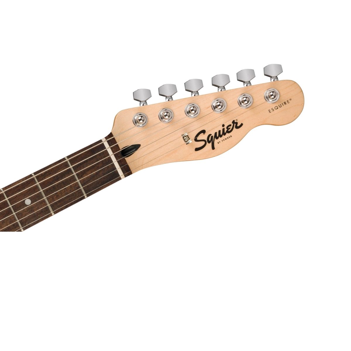 Squier - Sonic Esquire H Ultraviolet - 0373551517 Head