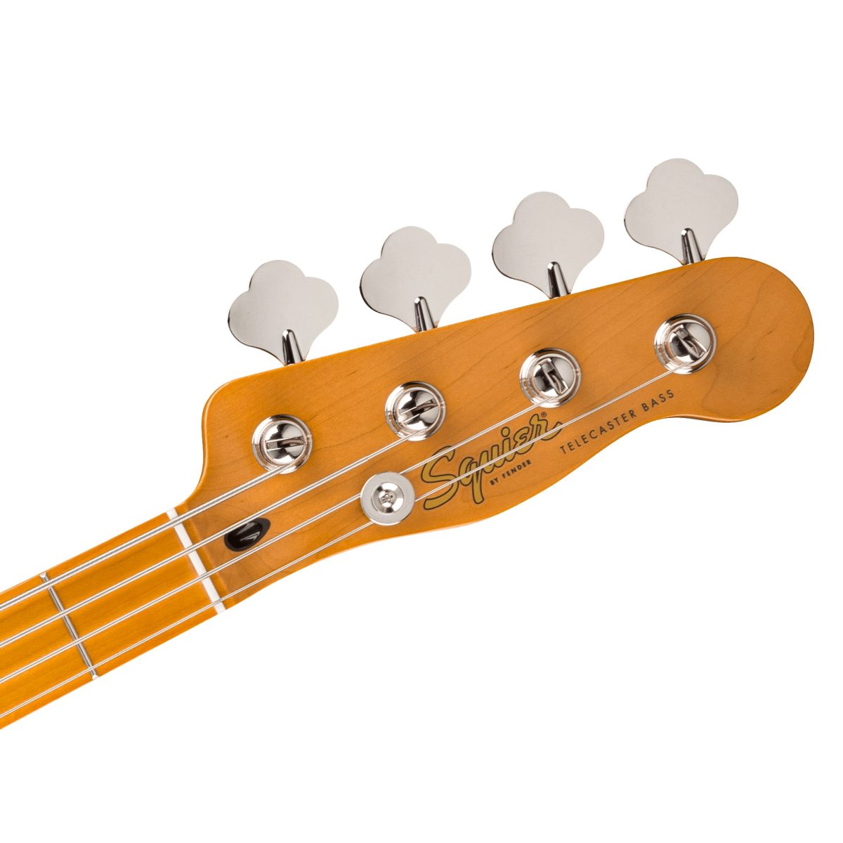 Squier - Classic Vibe Telecaster Bass - Mocha #0374523529