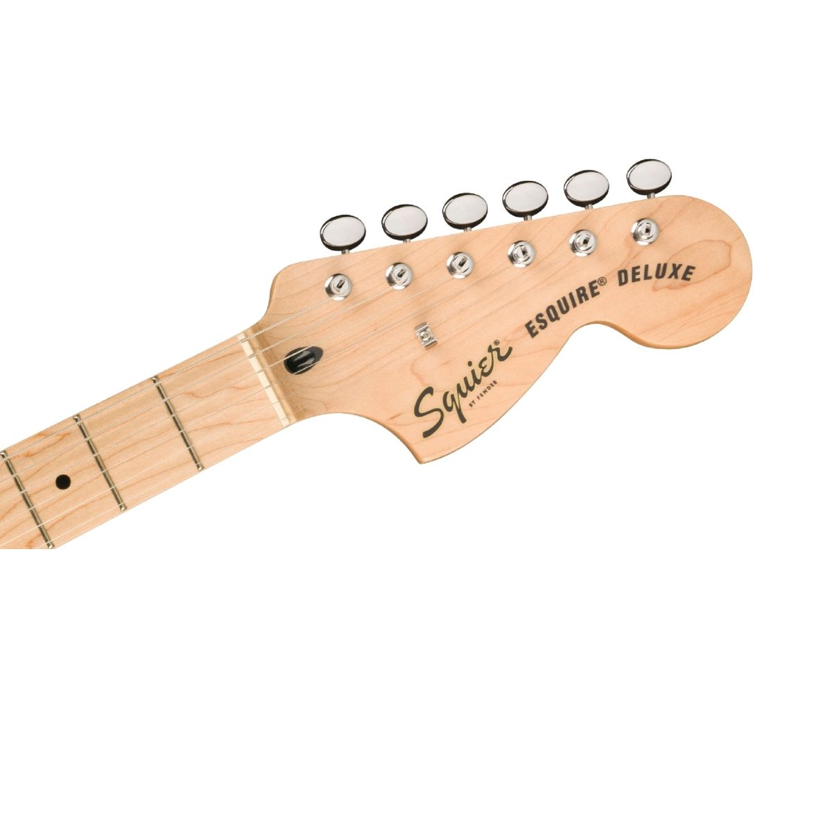 Squier - Paranormal Esquire Deluxe - Mocha - 0377045529 Head