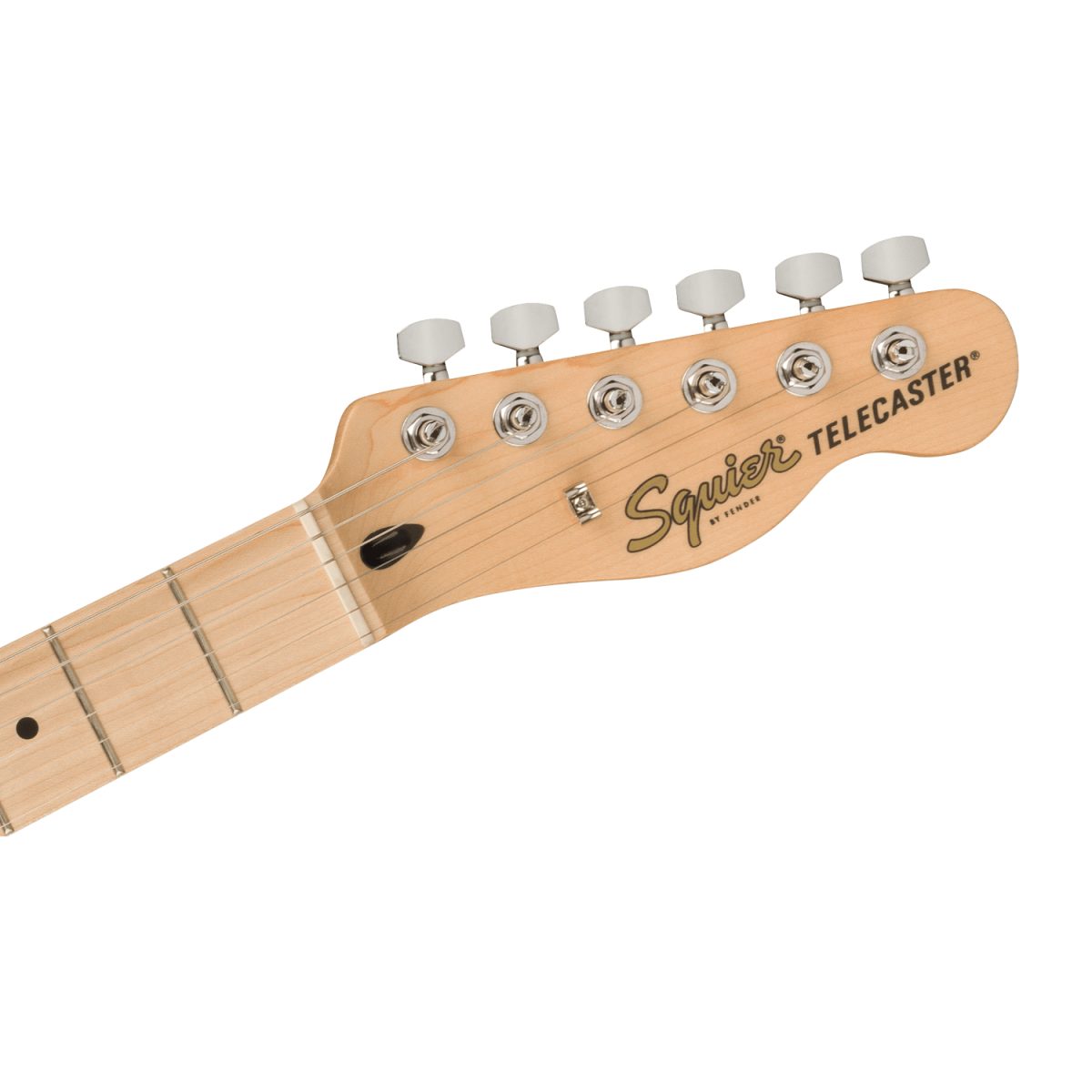 Squier - Affinity Series™ Telecaster®- 0378203550 head