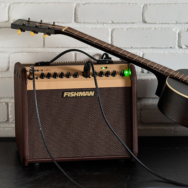 Fishman - Loudbox Mini Bluetooth - PRO-LBT-500