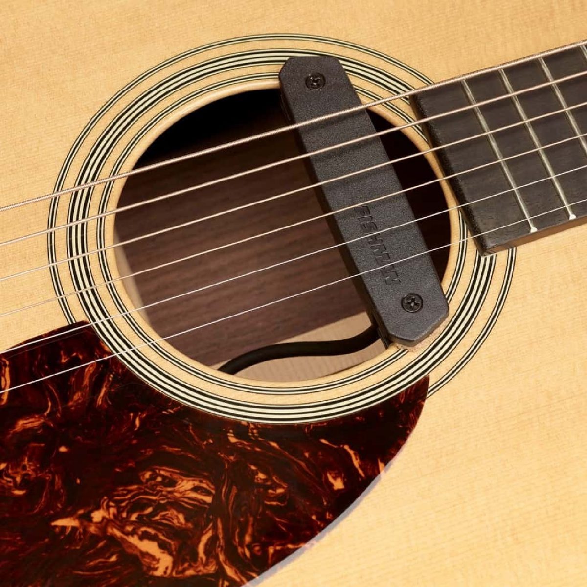 Fishman - Neo-D02 Magnetic Soundhole Pickup Humbucking Soundhole