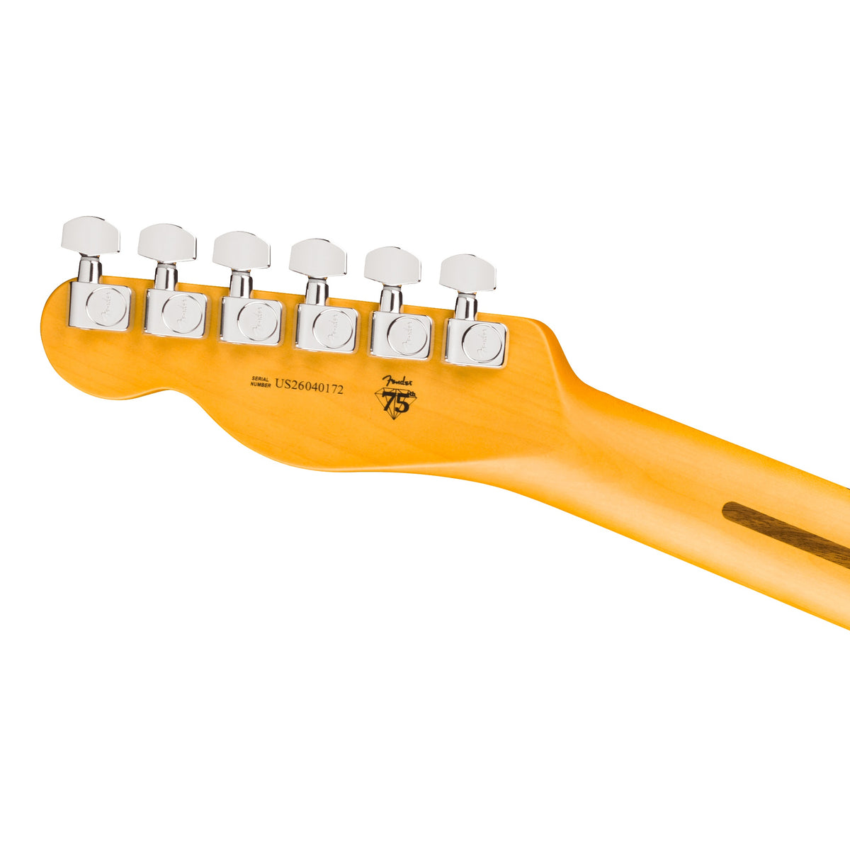 Fender - American Professional Telecaster Natural (Maple Fingerboard)
