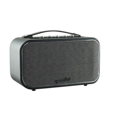 Gemini - GTR-300 Haut-parleur stéréo Bluetooth et ampli pour guitare