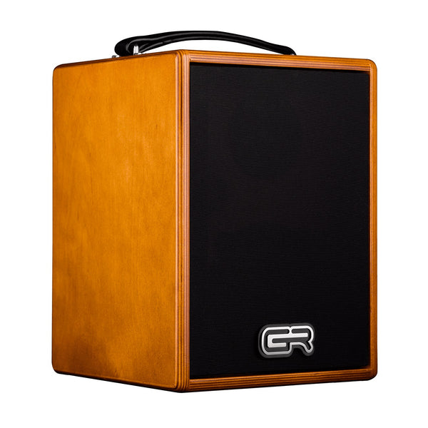 Acoustic Amps