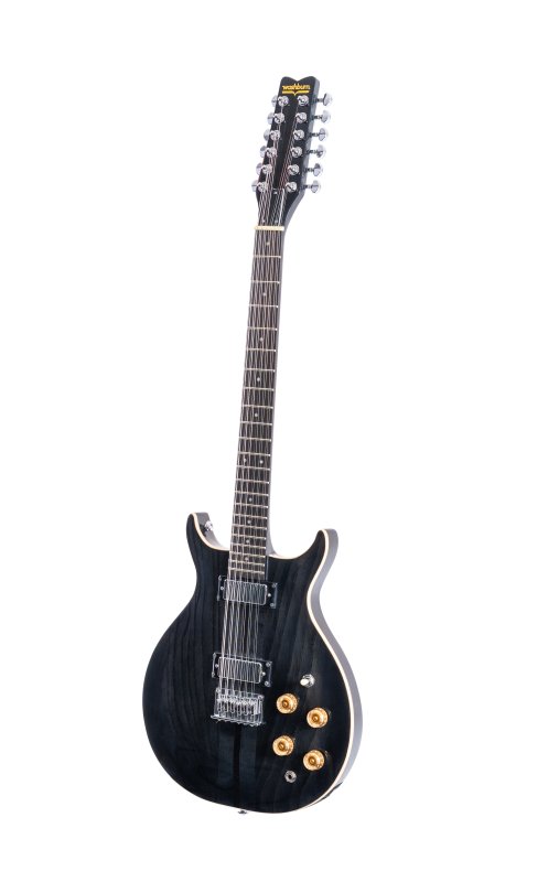 Washburn - Hawk 12-String Neck-Through Electric Guitar, Transparent Black #H12TB
