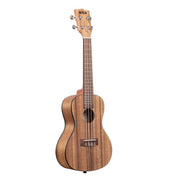 Kala PWC