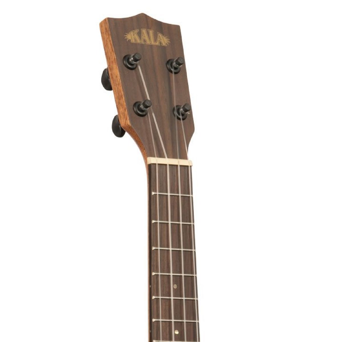 Kala PXBCT Ukulele head