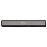 Korg - PaAS MK2 Amplification System for Pa Keyboards