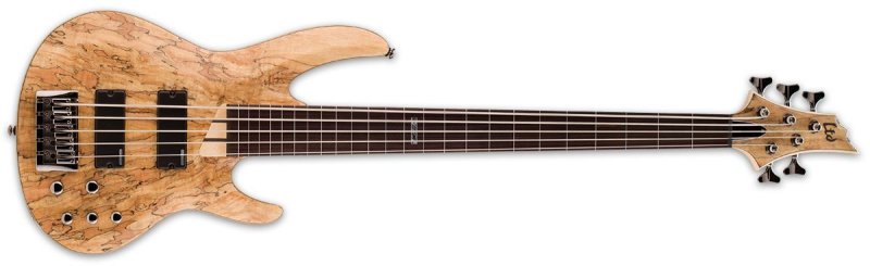 ESP - LTD Fretless Bass Guitar NATURAL SATIN #LB205SMFLNS