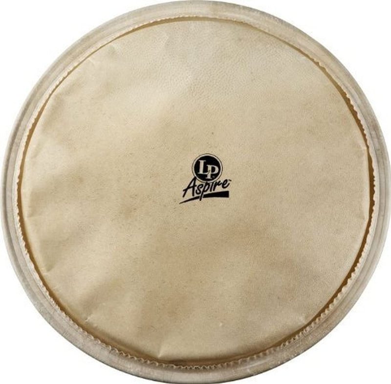 Latin Percussion - 12.5" Aspire Djembe Head #LPA630A
