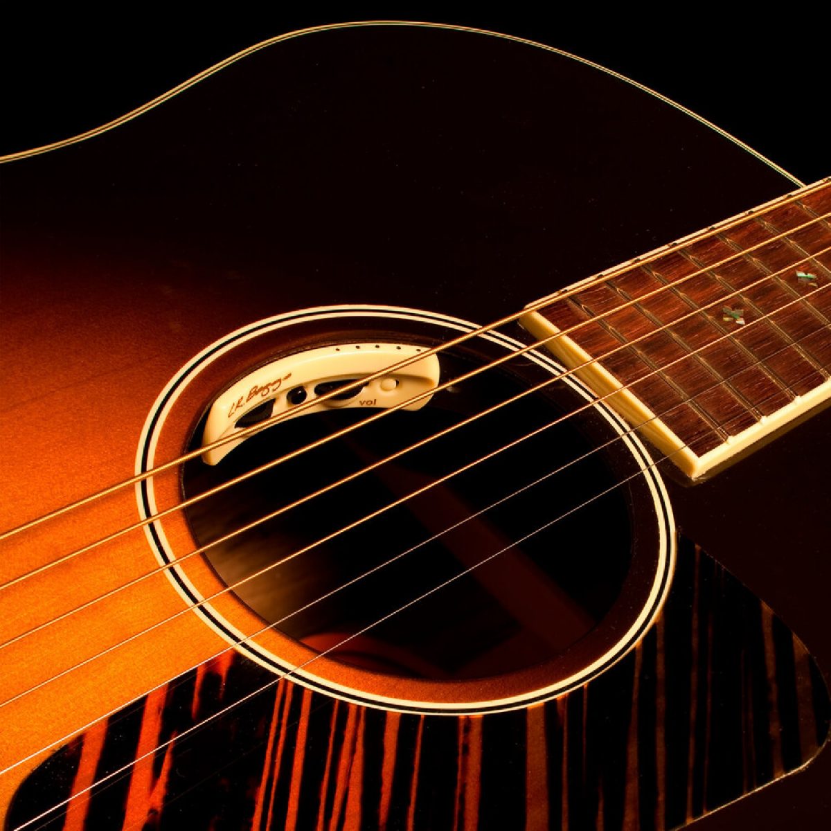 L.R. Baggs - Anthem - Acoustic Guitar Pickup + Microphone Soundhole