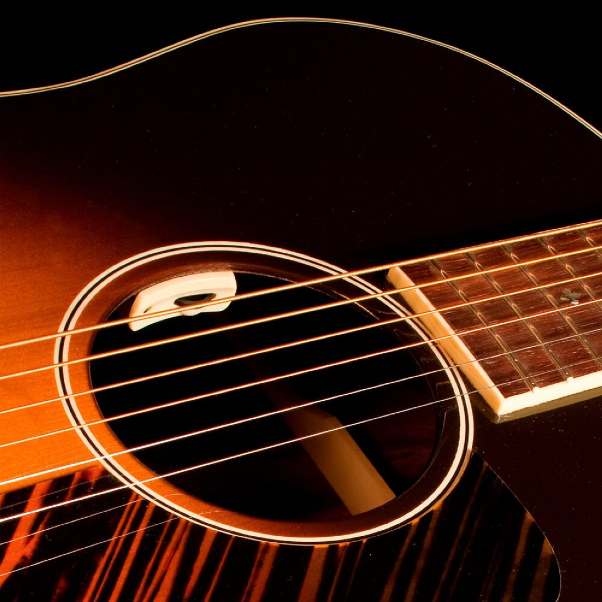 L.R. Baggs - Anthem SL - Acoustic Guitar Pickup + Microphone Soundhole