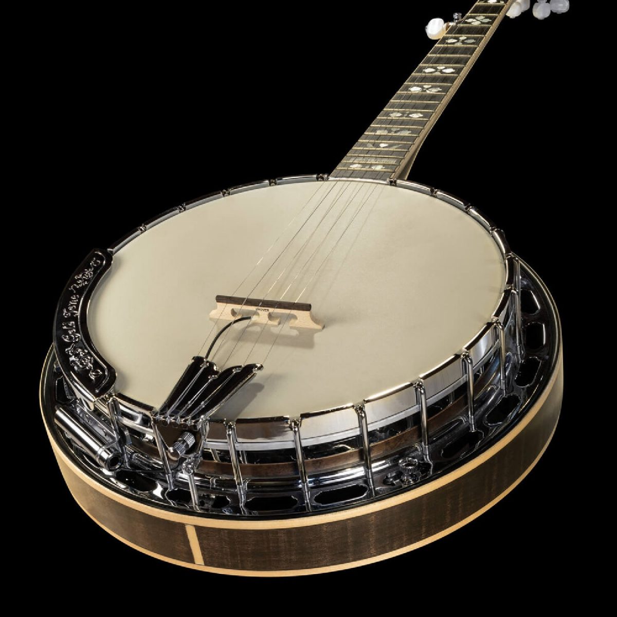 L.R. Baggs - Banjo Pickup On Banjo