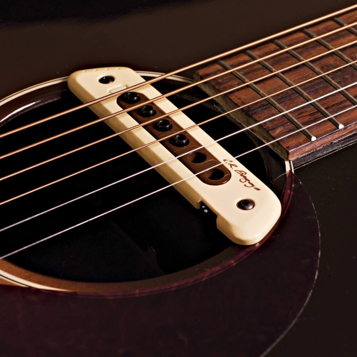 L.R. Baggs - M80 - Acoustic Guitar Soundhole Pickup Soundhole