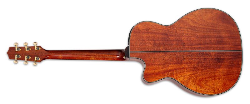 Takamine - Limited Edition 6 String Acoustic Electric Guitar with Semi-Hard Gigbag, Green #LTD2025