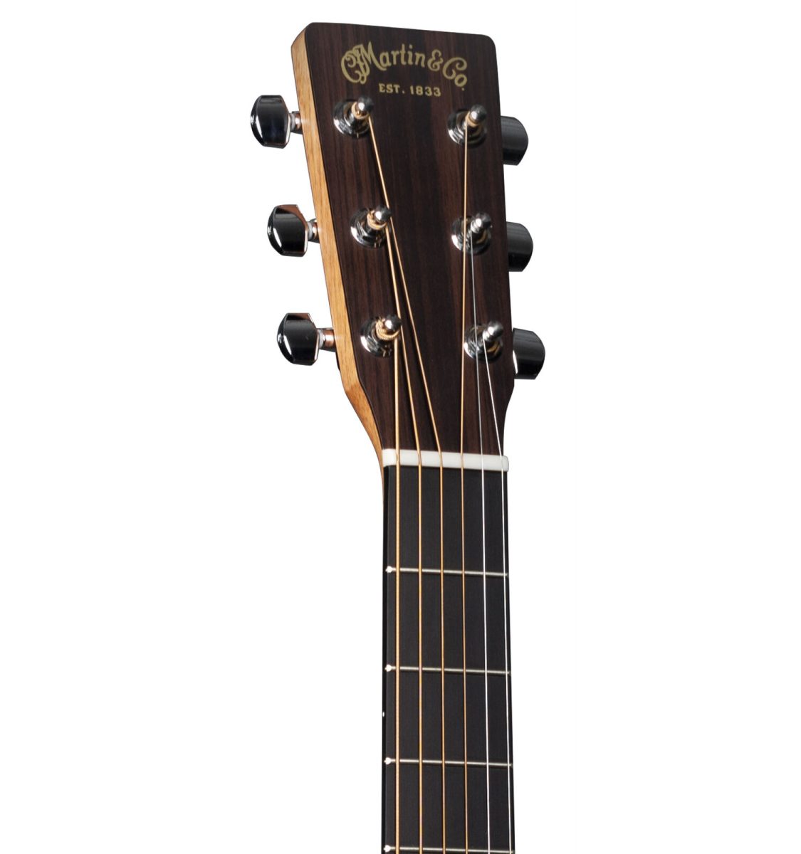Martin-D10E-Satin-Sit-sap-W-gigbad-head