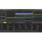DJ.Studio Pro - DAW for DJ Mixing