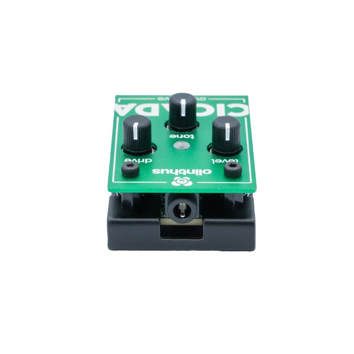 Olinthus - Cicada Miniature Overdrive